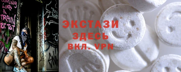 спайс Каменка