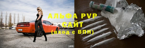 СК Каменск-Шахтинский