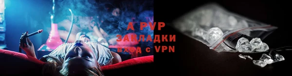 спайс Каменка