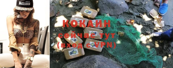 спайс Каменка