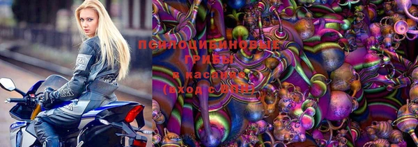 спайс Каменка