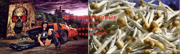 бутик Каменногорск