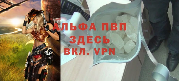спайс Каменка