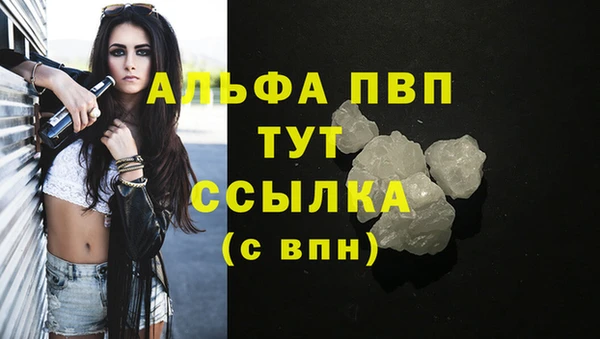 спайс Каменка