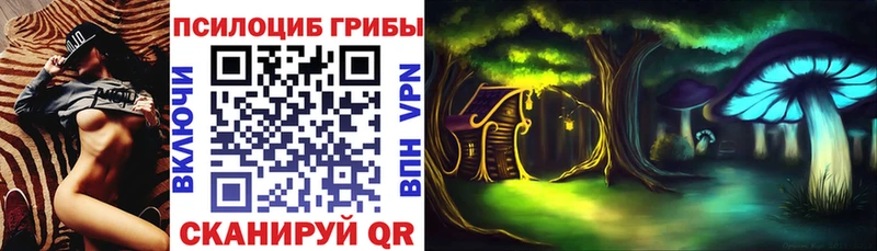 Купить где  Оса  Галлюциногенные грибы Magic Shrooms 